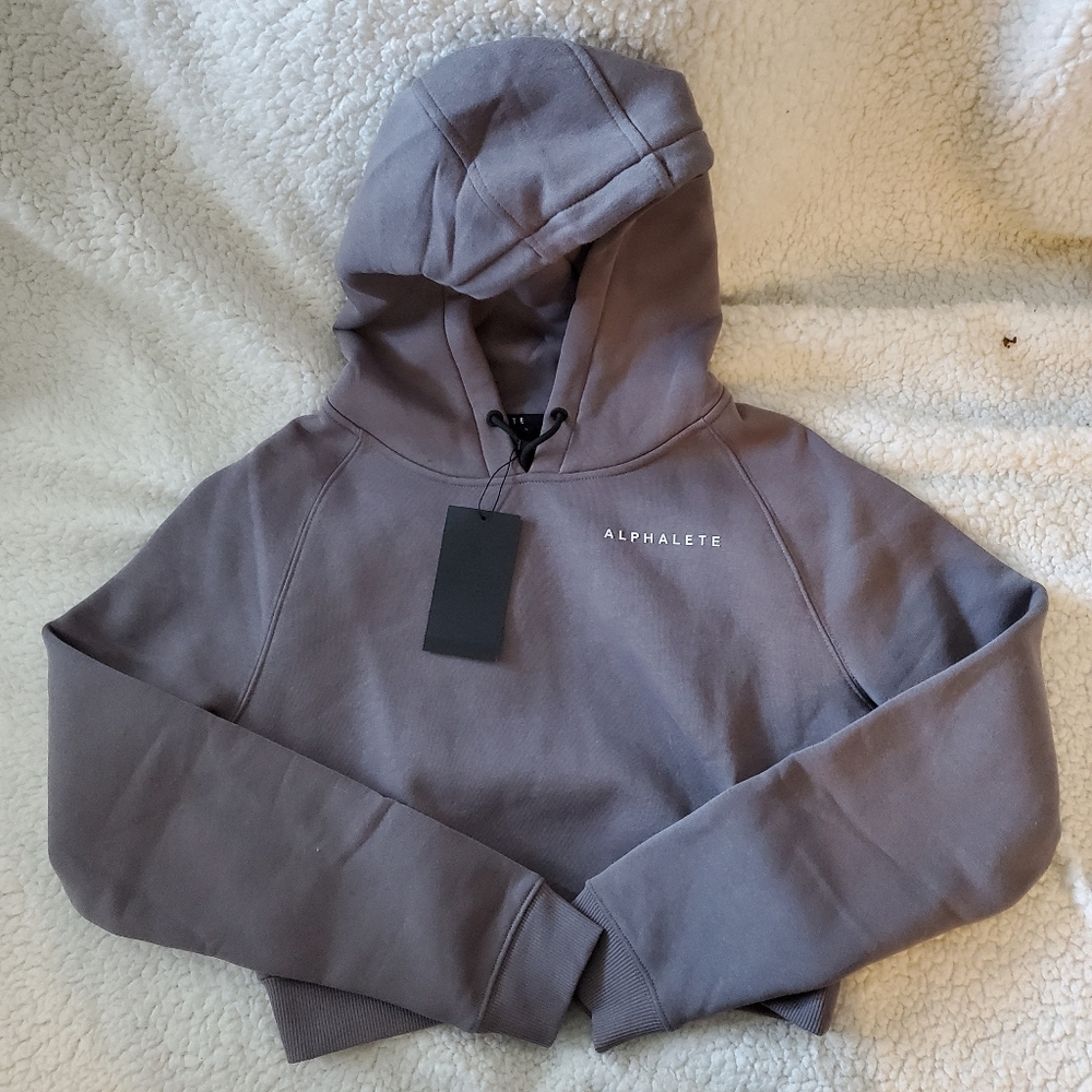 Alphalete Crop Hoodie
